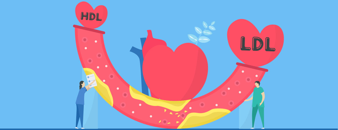 Effects of MSM Consuption on HDL levels