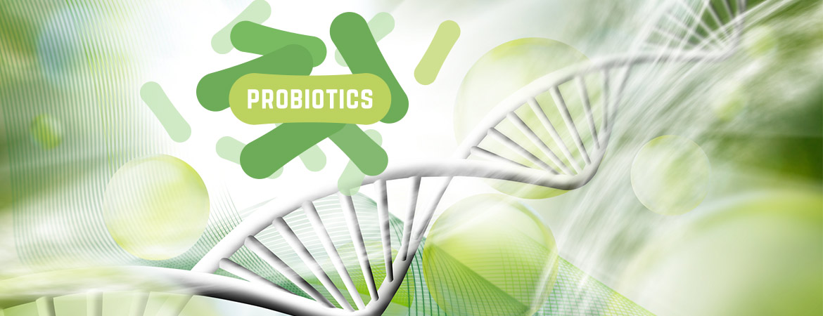 Health Benefits of Bacillus Probiotics