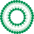 Liposomal Formulas